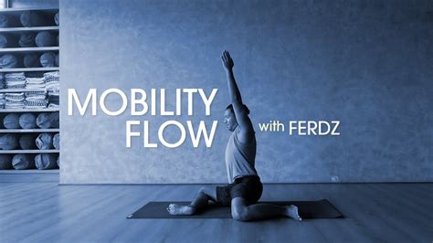 Flow and Mobility